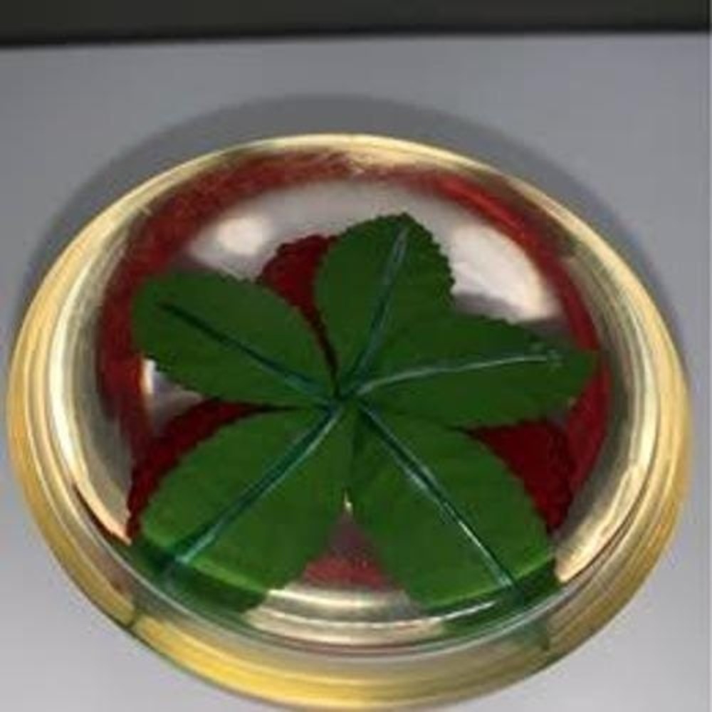 Vintage Lucite fruit paperweight - Picture 2 of 5